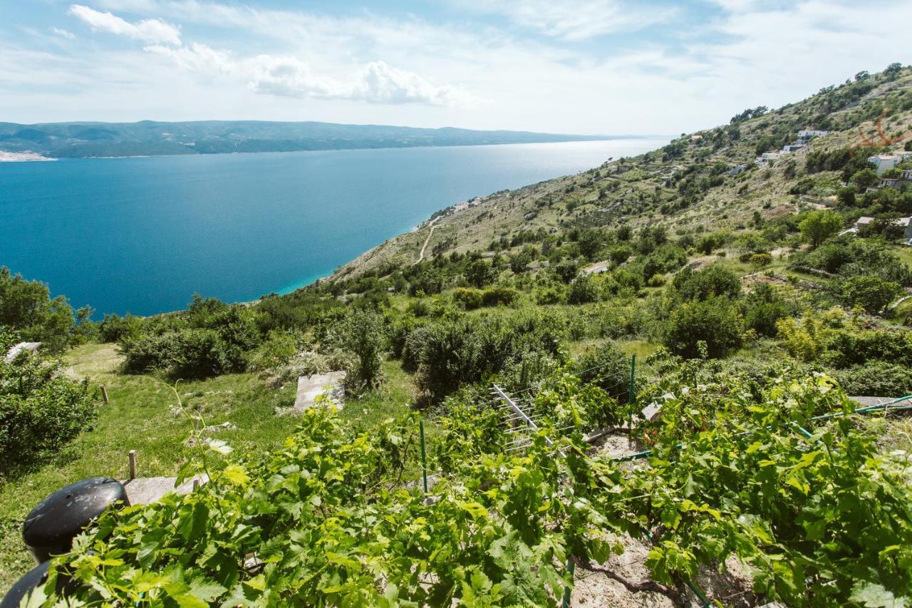 Apartment Kuzmanić Lokva Rogoznica Dış mekan fotoğraf
